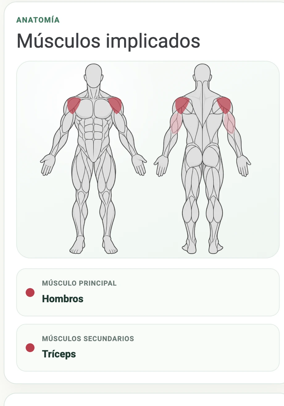 Anatomía y músculos implicados del Arnold press en NutriTrack Performance